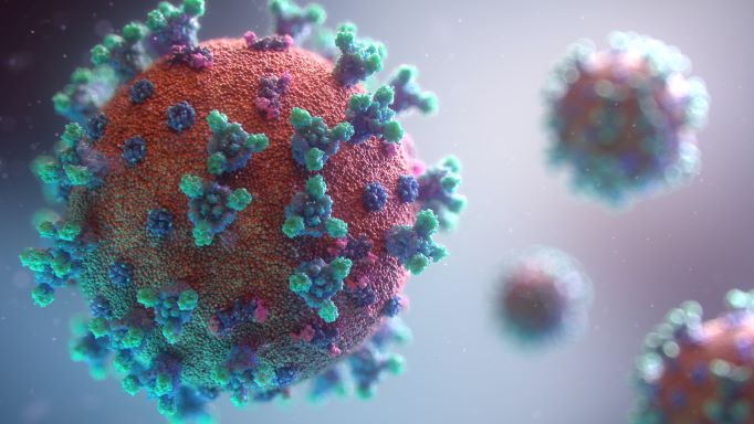 SARS-CoV-2 virus image